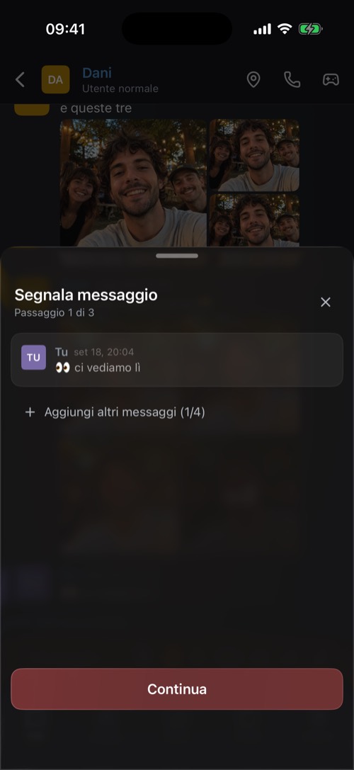 Il pannello Segnala messaggio con il messaggio da segnalare